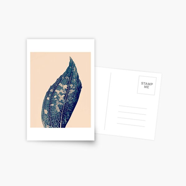 The Shades of Night vintage leaf Postcard