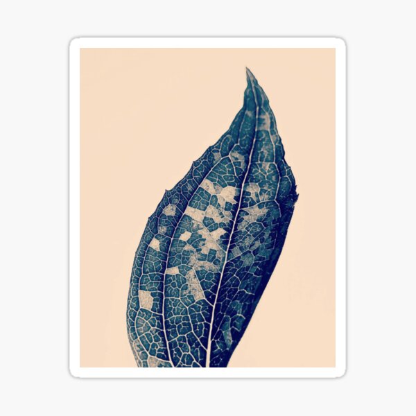 The Shades of Night vintage leaf Sticker