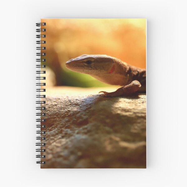Item preview, Small Lizard on a Big Rock designed and sold by Manic-Spider.