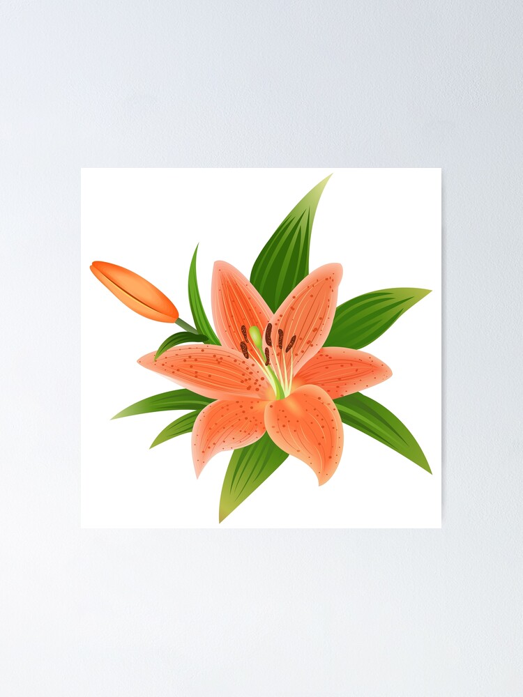 Póster «Flor de lirio naranja en flor» de danikaVT | Redbubble