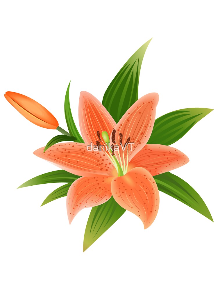 Body para bebé «Flor de lirio naranja en flor» de danikaVT | Redbubble