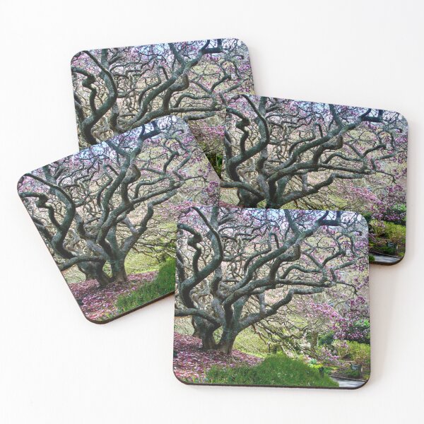 Item preview, Magnolia, Wellington, NZ designed and sold by Susan Henry.