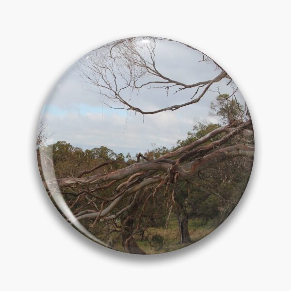 Item preview, Gnarly Eucalypt arch. Macedon, Vic designed and sold by Susan Henry.