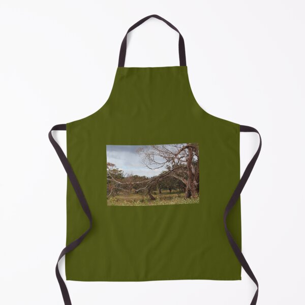 Item preview, Gnarly Eucalypt arch. Macedon, Vic designed and sold by Susan Henry.