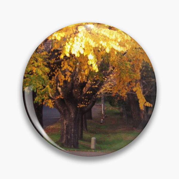 Item preview, Evening sun in autumn leaves, Macedon designed and sold by Susan Henry.