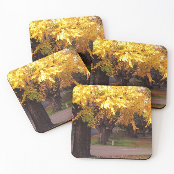 Item preview, Evening sun in autumn leaves, Macedon designed and sold by Susan Henry.
