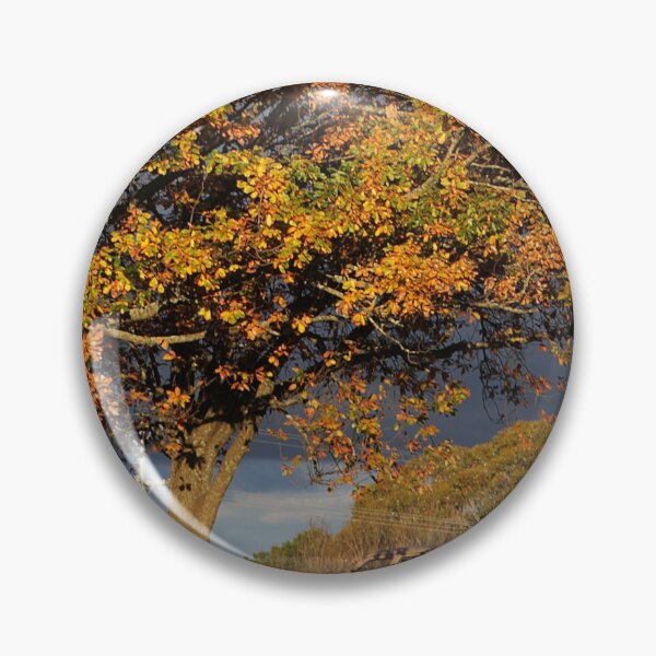 Item preview,  Evening sunlight, Macedon, Vic designed and sold by Susan Henry.
