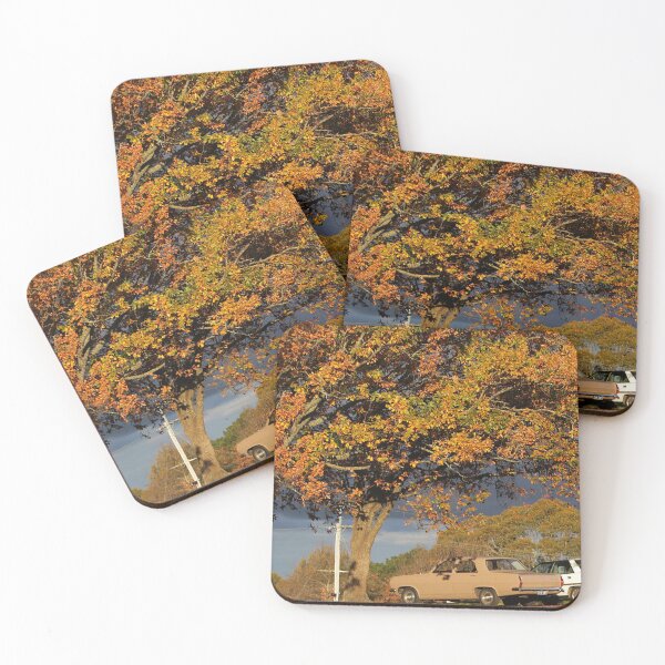Item preview,  Evening sunlight, Macedon, Vic designed and sold by Susan Henry.