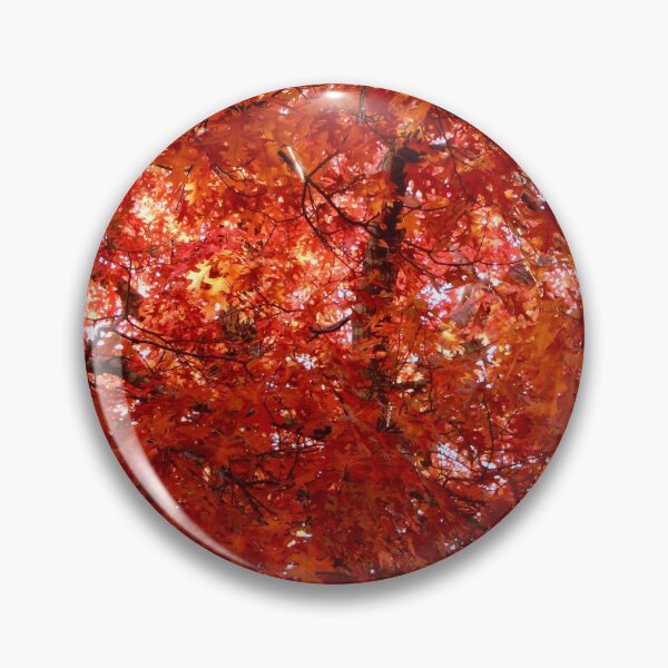 Item preview, Autumn colour. Honour Ave, Macedon, Vic designed and sold by Susan Henry.