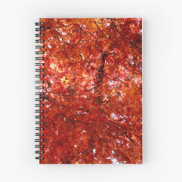 Item preview, Autumn colour. Honour Ave, Macedon, Vic designed and sold by Susan Henry.