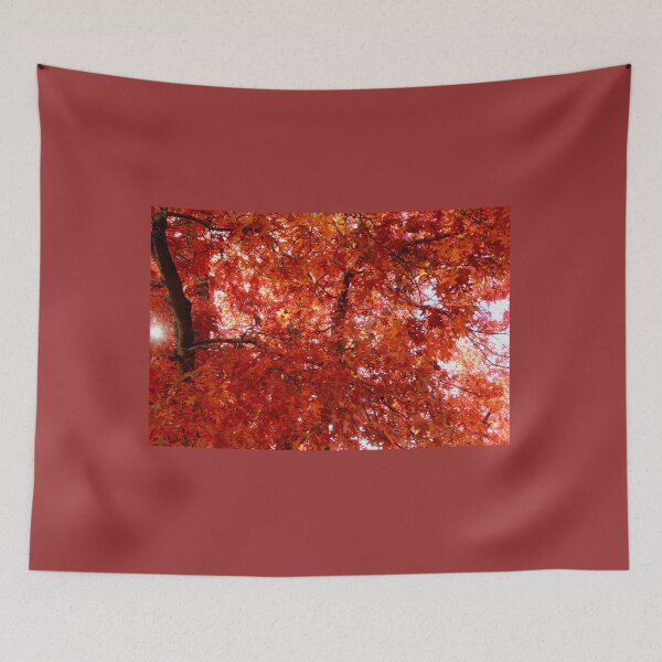 Item preview, Autumn colour. Honour Ave, Macedon, Vic designed and sold by Susan Henry.