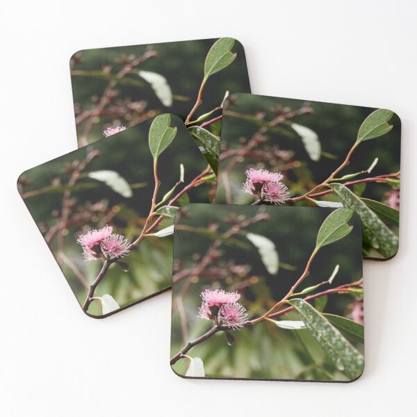 Item preview, Pink flowering gum. Macedon, Victoria designed and sold by Susan Henry.