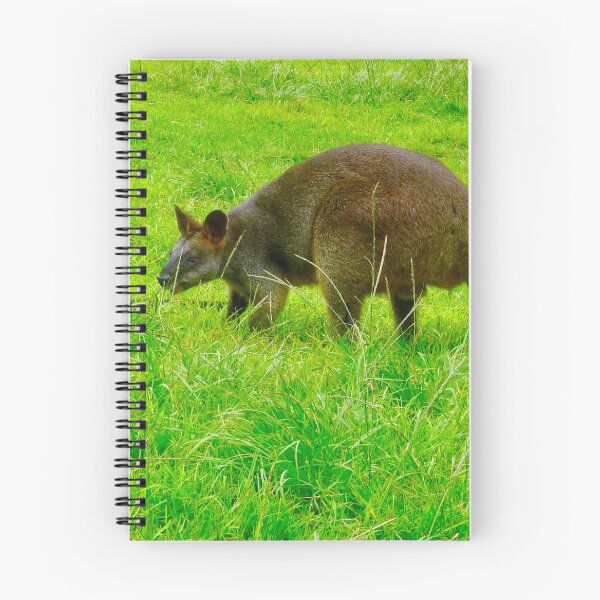 Item preview, Swamp Wallabies having a feed designed and sold by Mickangelhere.