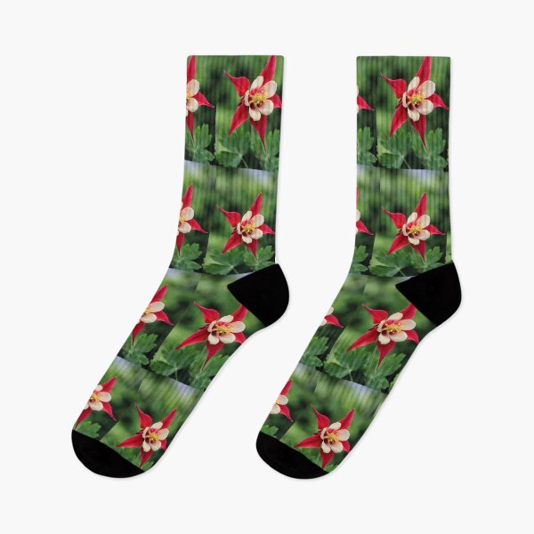 Item preview, Red Aquilegia in bloom. designed and sold by John Ray.