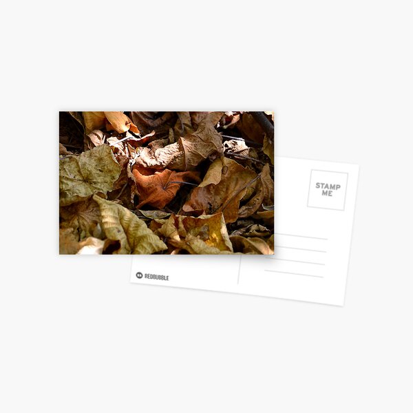 Item preview, Forest Floor 2 designed and sold by Bami.