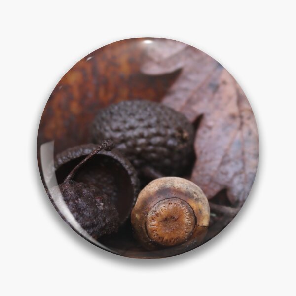 Artikelvorschau, Herbst Woodsy Acorn entworfen und verkauft von MoonsmileProd.