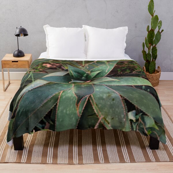 Item preview, Cactus Succulent Outdoor Design Artistic Photo designed and sold by Marguerite Faure.