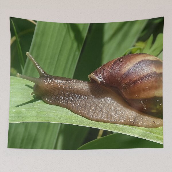 Item preview, Large Brown Snail Ahatina on Green Leaf - Funny Science Biology Gift designed and sold by r-silver.