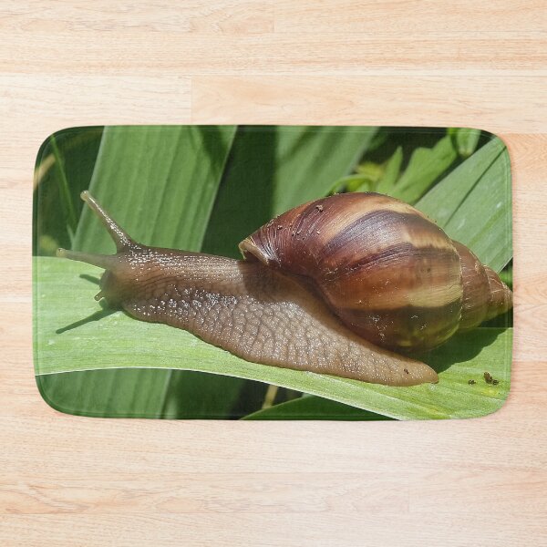 Item preview, Large Brown Snail Ahatina on Green Leaf - Funny Science Biology Gift designed and sold by r-silver.