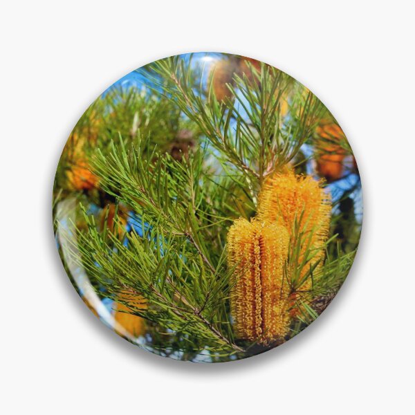 Item preview, Banksia, Macedon, Victoria designed and sold by Susan Henry.