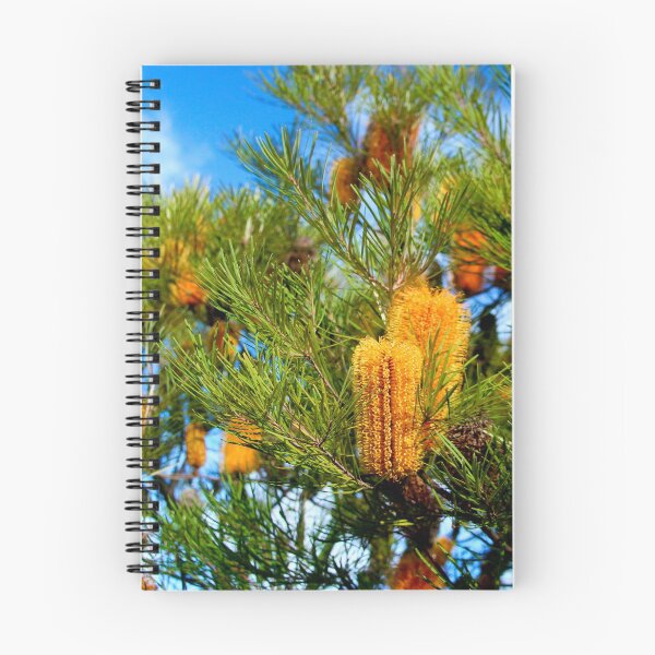 Item preview, Banksia, Macedon, Victoria designed and sold by Susan Henry.