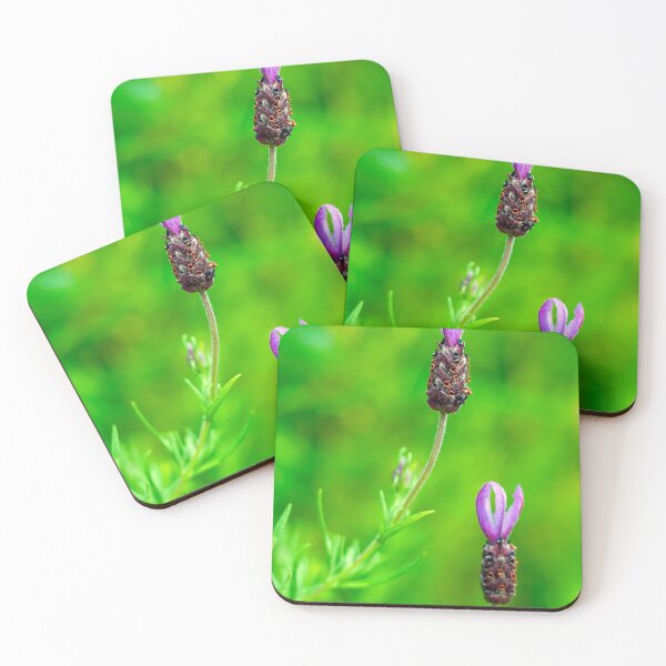Item preview, Lavender Two Flowers designed and sold by MarkUK97.