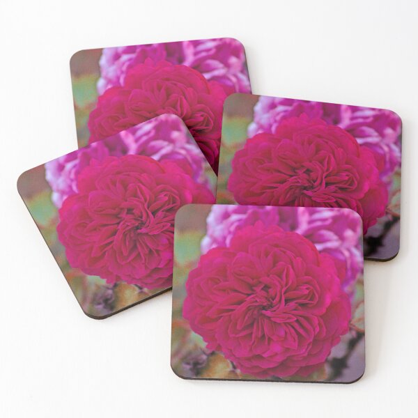 Item preview, Two Pink Roses Flowers Closeup designed and sold by worldways.