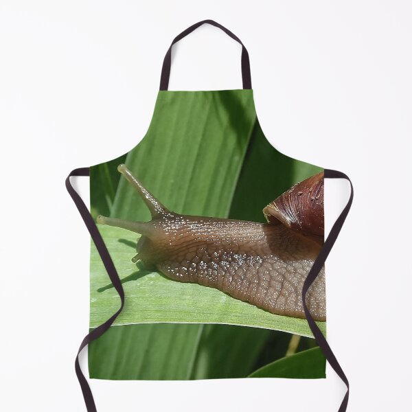 Item preview, Large Brown Snail Ahatina on Green Leaf - Funny Science Biology Gift designed and sold by r-silver.