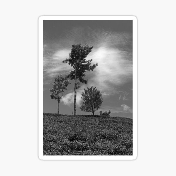 Item preview, SKN 9207 Family. B/W designed and sold by Sunil Kapadia.