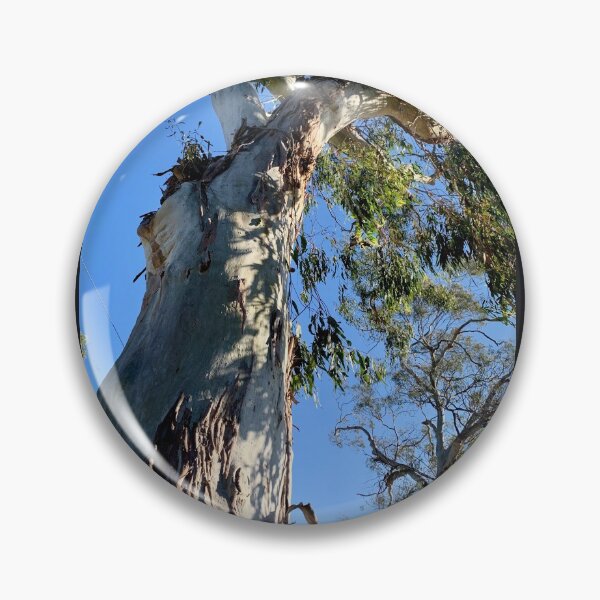 Item preview, Grand old eucalypt. Macedon, Victoria designed and sold by Susan Henry.