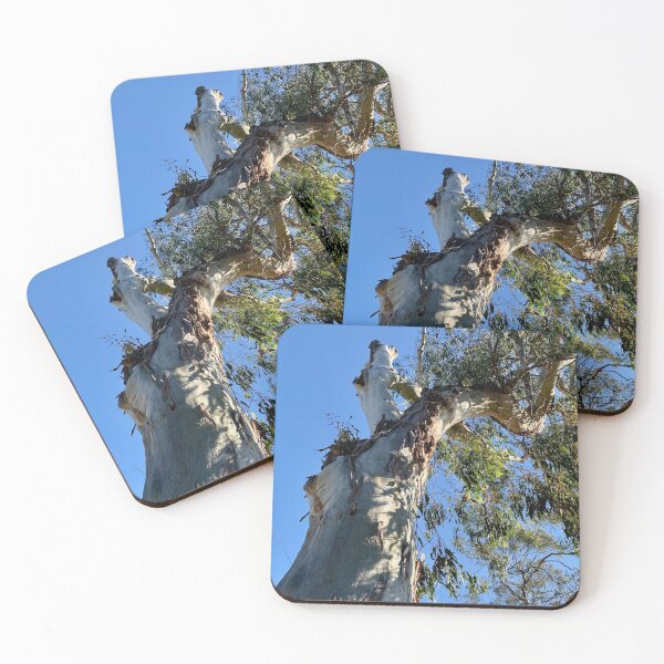 Item preview, Grand old eucalypt. Macedon, Victoria designed and sold by Susan Henry.