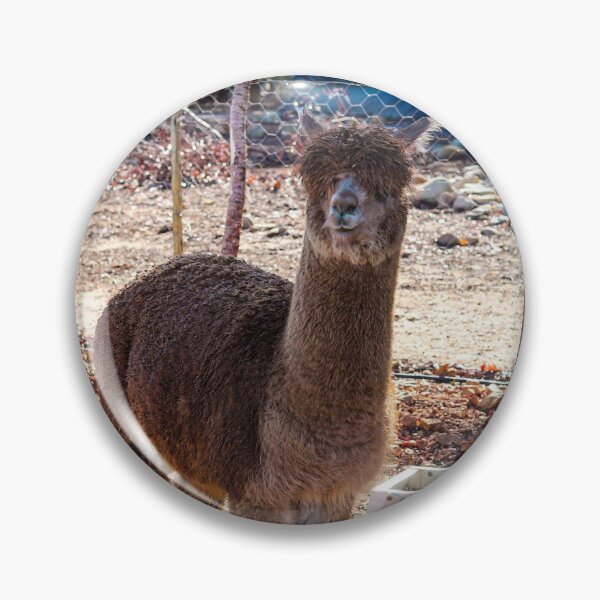 Item preview, Chilled Alpaca designed and sold by Marguerite Faure.