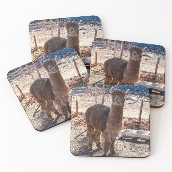 Item preview, Chilled Alpaca designed and sold by Marguerite Faure.