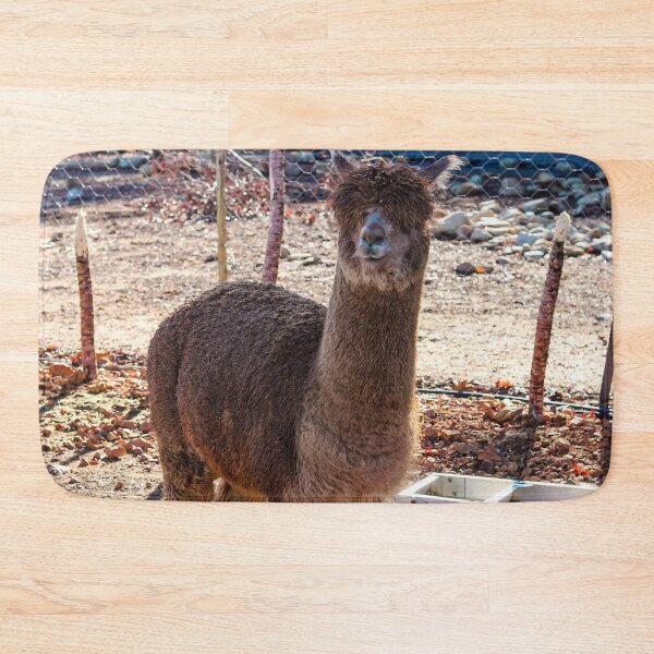 Item preview, Chilled Alpaca designed and sold by Marguerite Faure.
