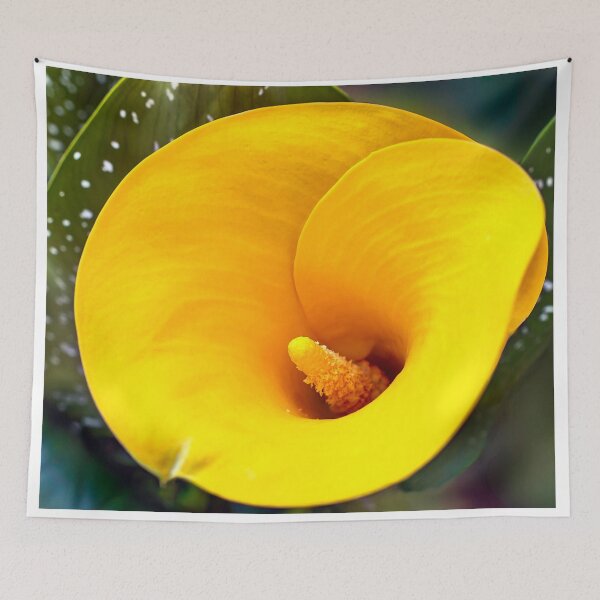 Item preview, Giglio giallo a Spello designed and sold by PepperMendez.
