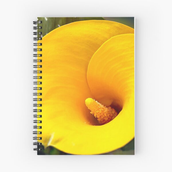 Item preview, Giglio giallo a Spello designed and sold by PepperMendez.