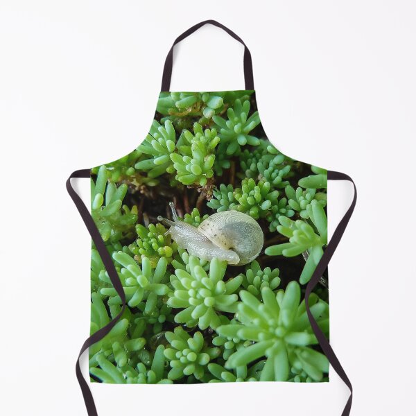 Item preview, Small White Snail on Green Sédum - Funny Science Biology Gift designed and sold by r-silver.