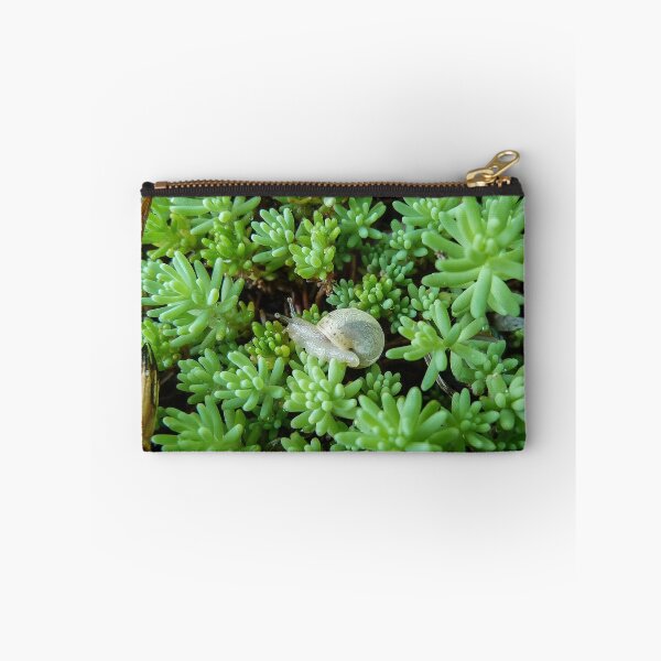 Item preview, Small White Snail on Green Sédum - Funny Science Biology Gift designed and sold by r-silver.