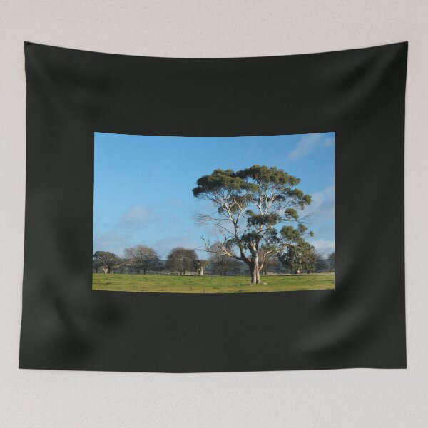 Item preview, Majestic Eucalypt. Macedon, Vic designed and sold by Susan Henry.