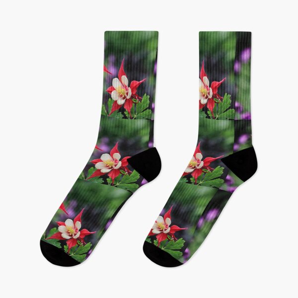 Item preview, Aquilegia Red Dream. designed and sold by John Ray.