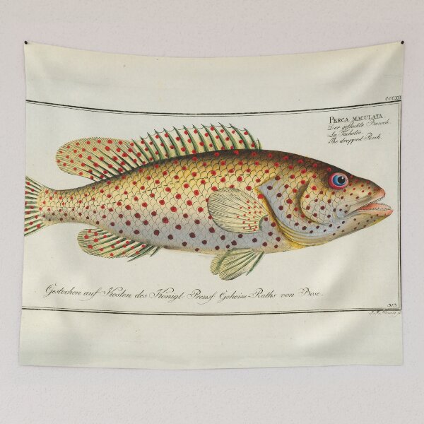 Item preview, Vintage German fish illustration - The Dropped perch designed and sold by Gardenlibrary.