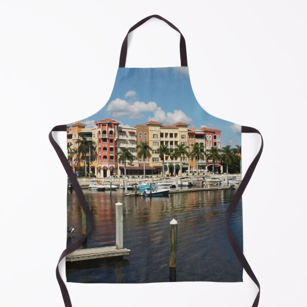 Aperçu de l'œuvre Naples Florida Waterfront créée et vendue par cuprum.