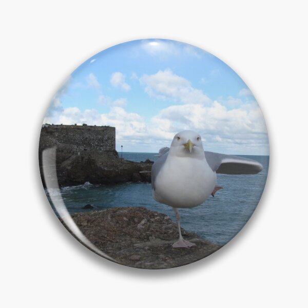 Item preview, Posing Seagull  designed and sold by BerylBez.