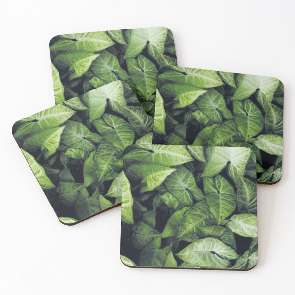 Green leaves Coasters (Set of 4)
