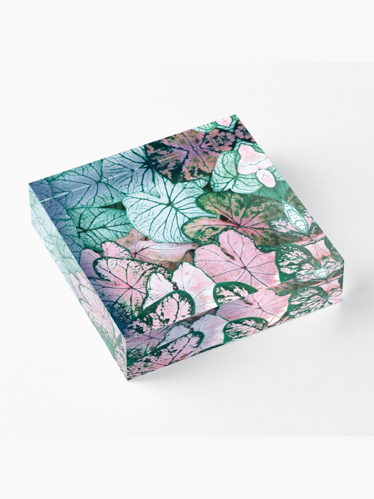 Alternate view of Green and pink leaves Acrylic Block