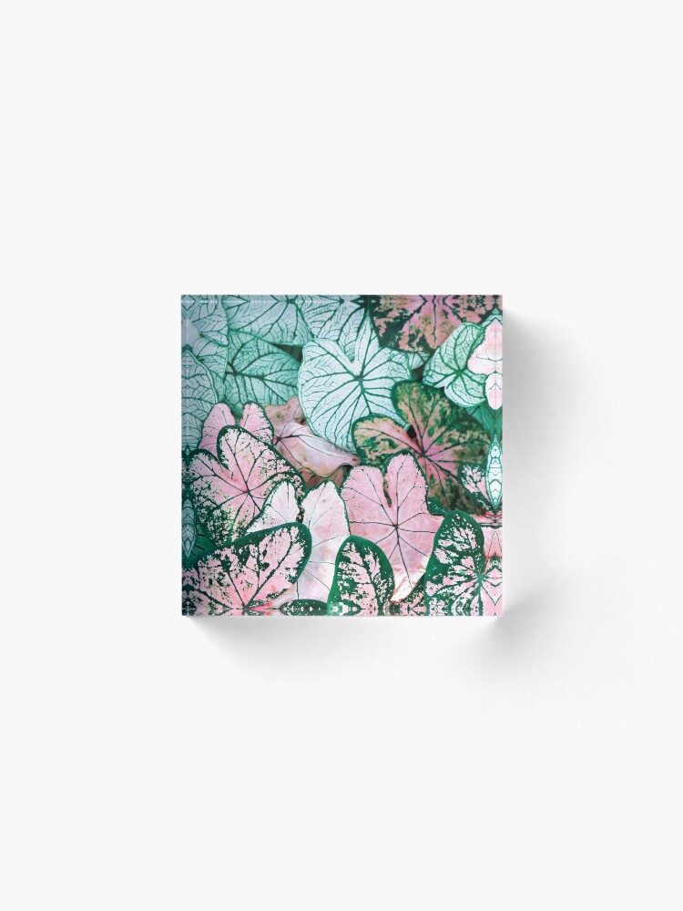 Alternate view of Green and pink leaves Acrylic Block