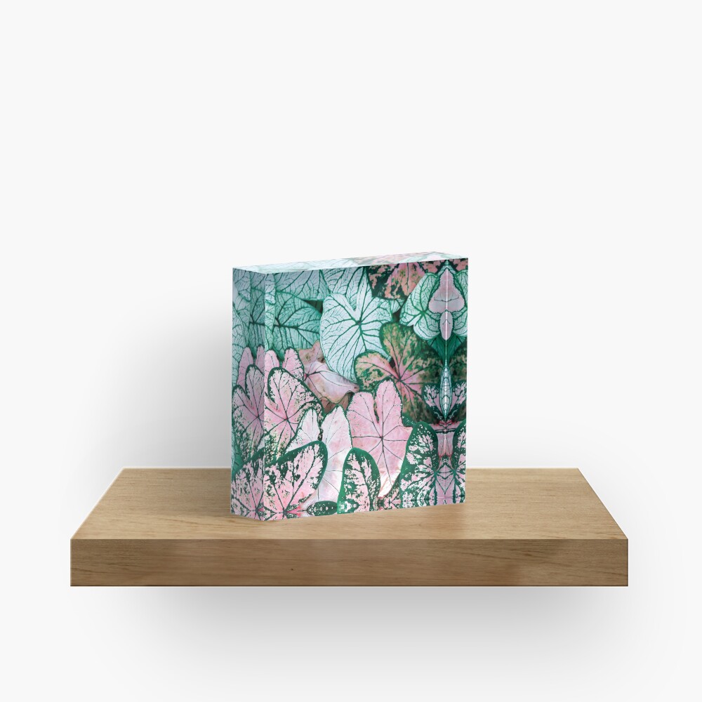 Green and pink leaves Acrylic Block