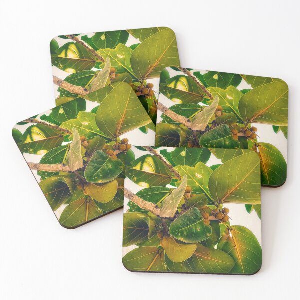 Item preview, Beautiful peepal tree leaves designed and sold by HRC-Collection.