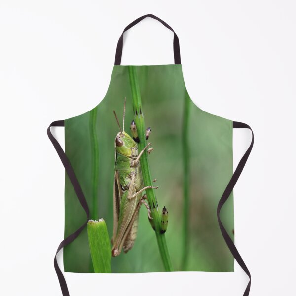 Item preview, Lesser Marsh Grasshopper designed and sold by cuprum.
