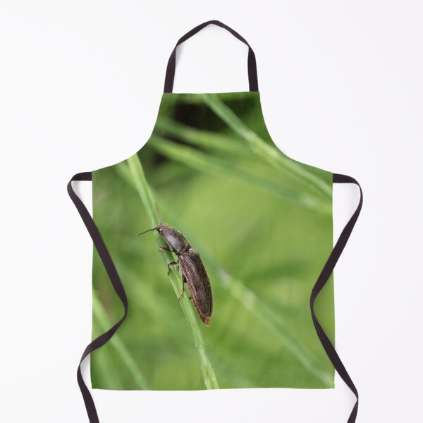 Item preview, Click Beetle designed and sold by cuprum.